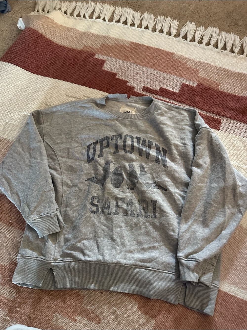 Aerie Uptown Safari Grey Graphic Crewneck Sweatshirt